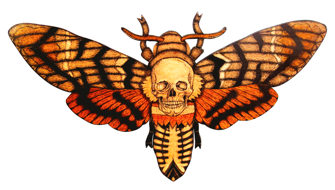 a drawing of a death's head hawkmoth